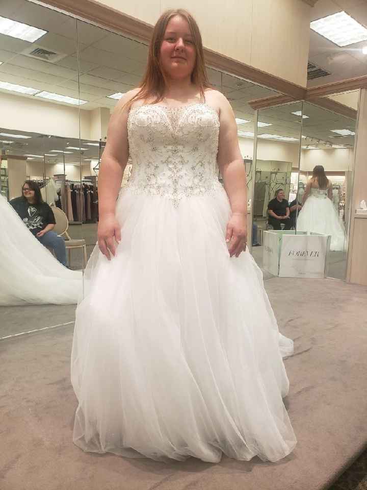 Wedding Dress Decision... help - 1