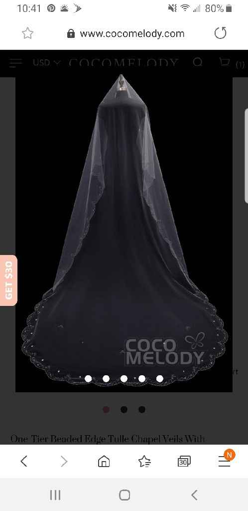 Thoughts on veil with dress - 3