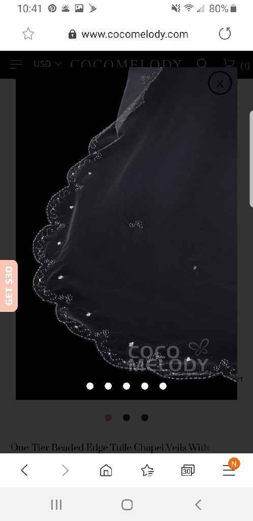 Thoughts on veil with dress - 4