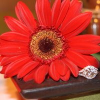 I'd love to see everyone's engagment rings.