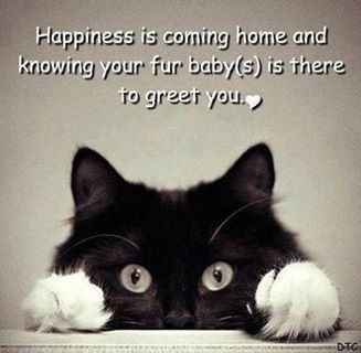 Since we are getting to know each other and everyone LOVES their fur babies!