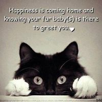 Since we are getting to know each other and everyone LOVES their fur babies!