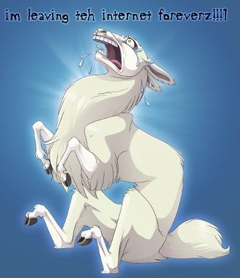 Immature Forums Make Me Want To Bite Someone In The Face. *updated*