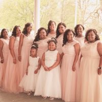 Share your bridesmaid's dresses? - 1