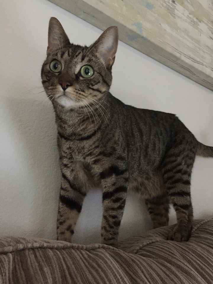 I LOVE my fur baby!