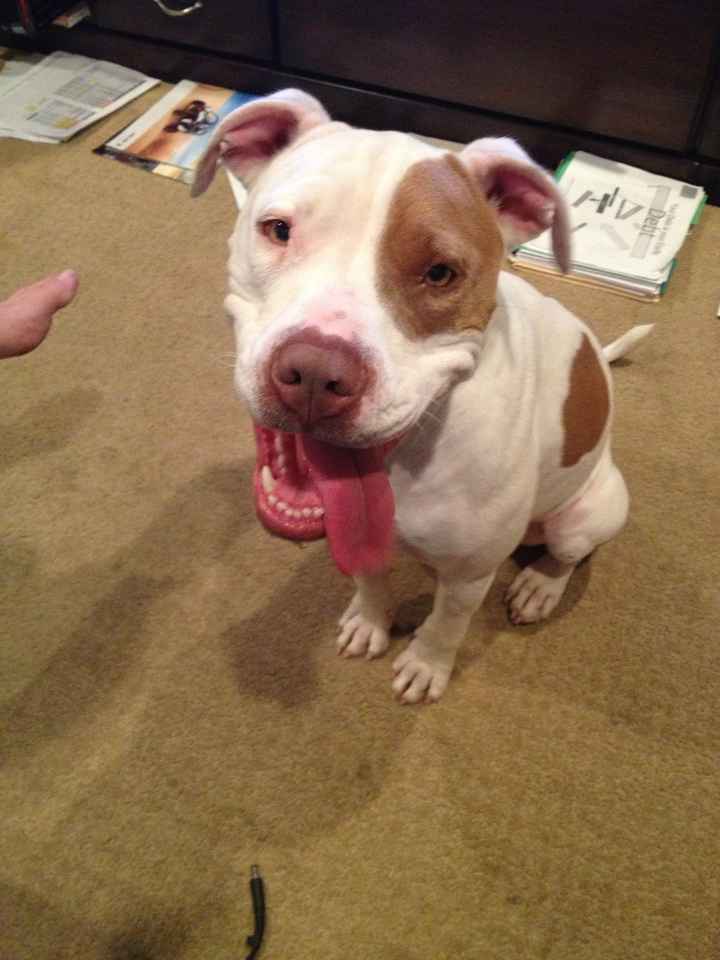I LOVE my fur baby!