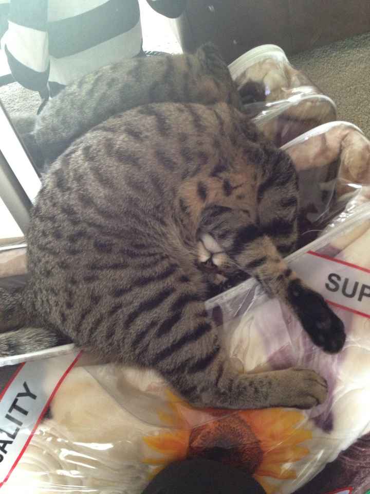 I LOVE my fur baby!