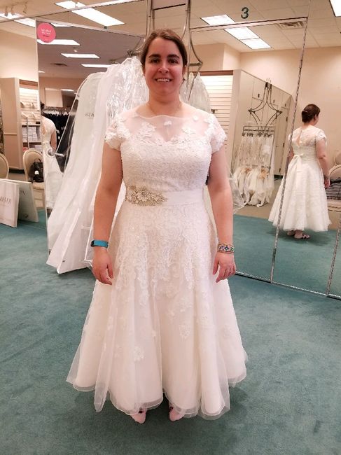 Nervous about David's Bridal dress... - 1
