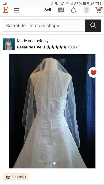 Veil, No Veil Photos - 4