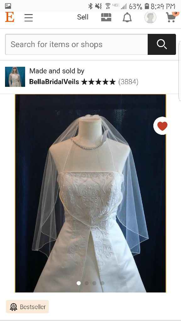 Veil, No Veil Photos - 3