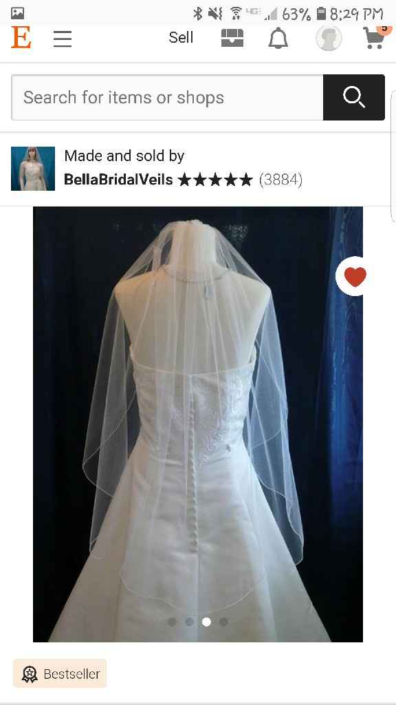 Veil, No Veil Photos - 4