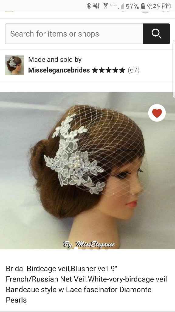 Veil, No Veil Photos - 5