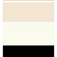 What are your wedding colors?