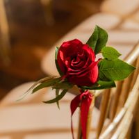 Bam! Pro Pics 11-12-21 - 3