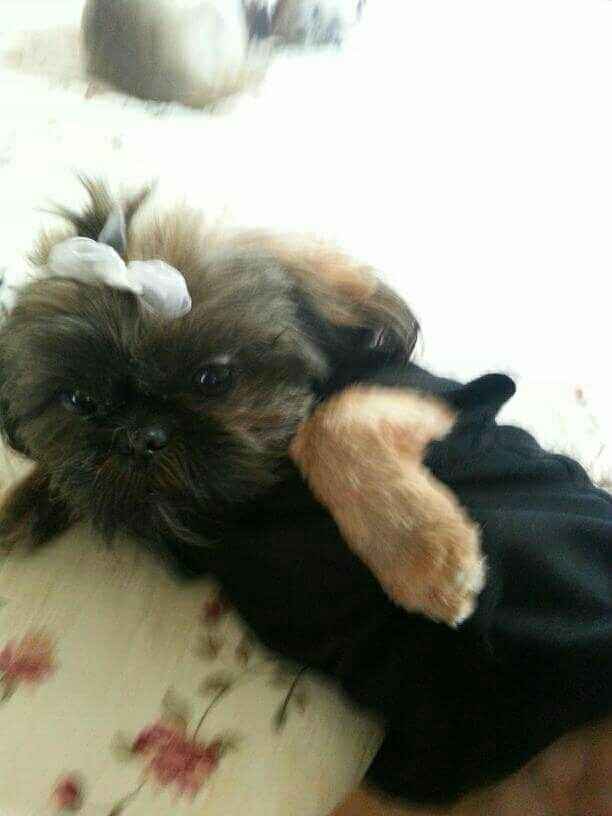 NWR Fursday Thursday