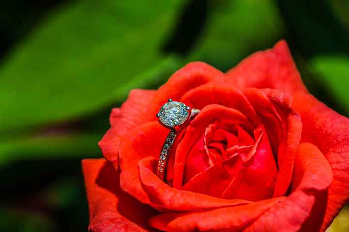 Show off your E-ring and wedding band!!!