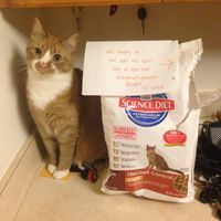 NWR:  Feline Friday :)