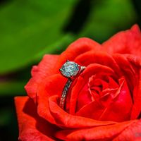 I want to see rings!!