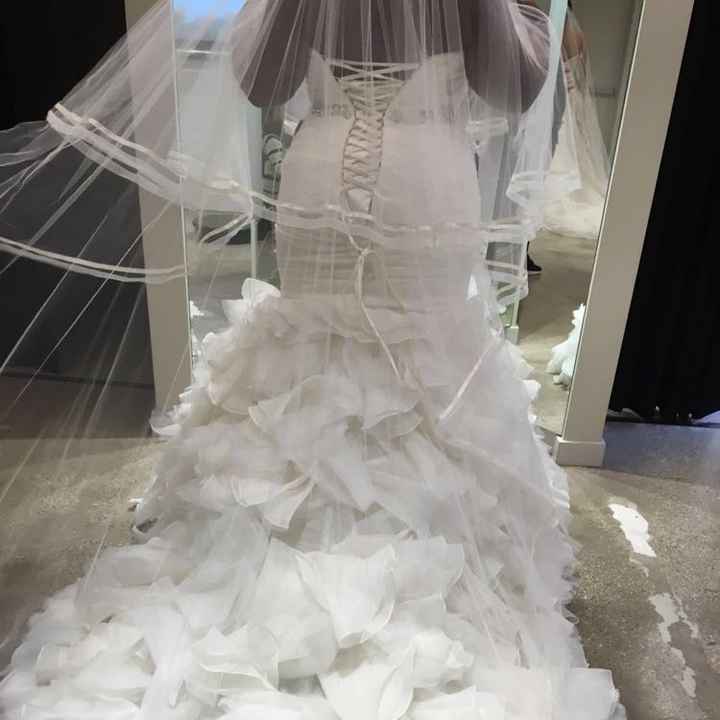 My Dress (which veil?)