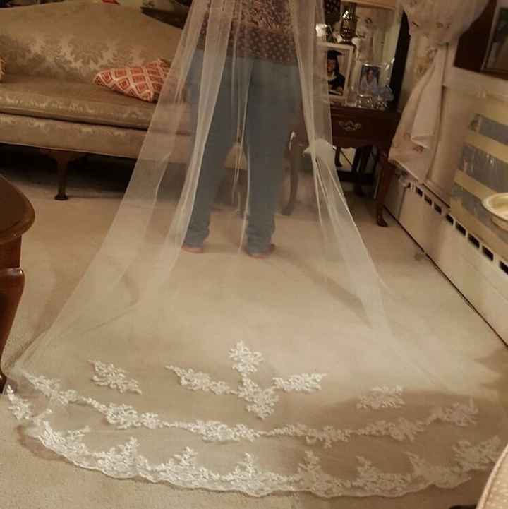 My Dress (which veil?)