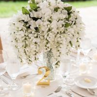 Save Money on Flowers - 1