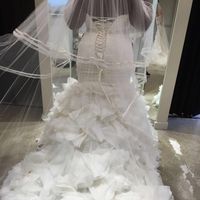 My Dress (which veil?)