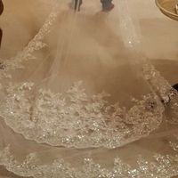 My Dress (which veil?)