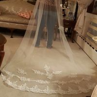 My Dress (which veil?)
