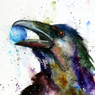 Raven