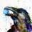 Raven
