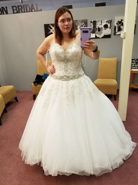 Weightloss and the Dress - 2