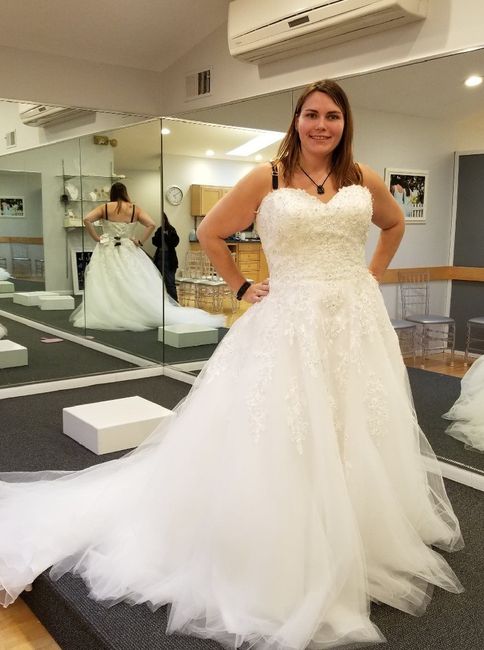 Weightloss and the Dress - 3