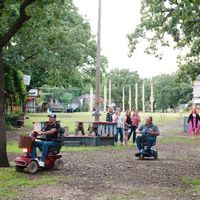 Pictures from the wedding bam - 1