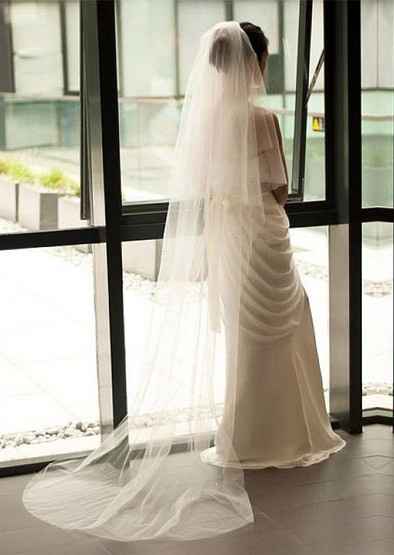 Help me find a veil (update in comments- pic!)