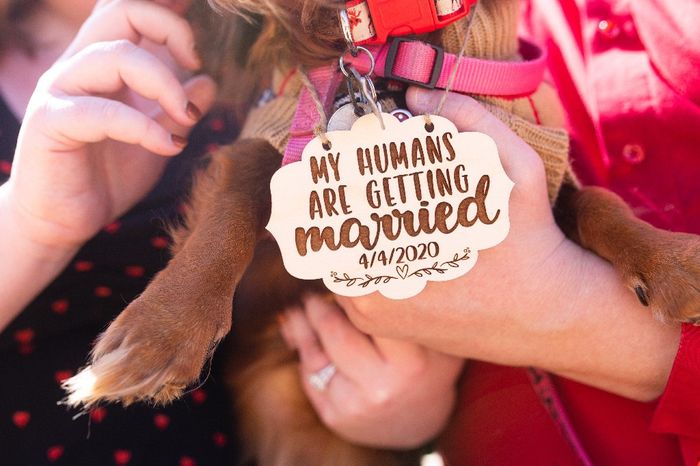 Engagement pic ideas! 1