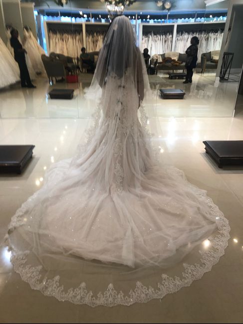 i found my dress!! Debating on getting reception dress-thoughts? 2