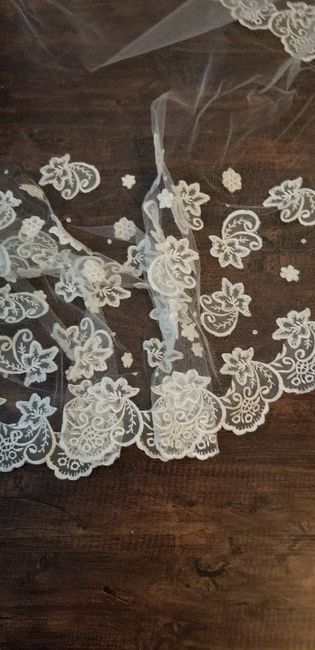 Veil decisions 7