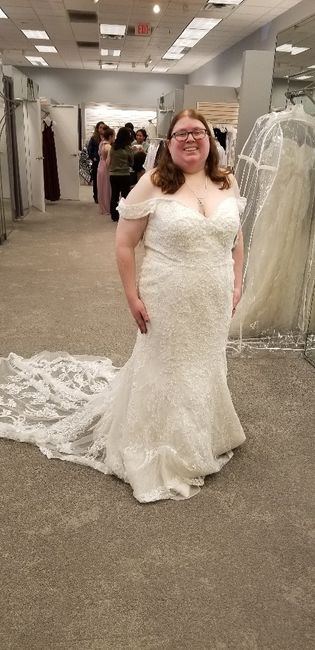 Wedding Dress Shopping 3