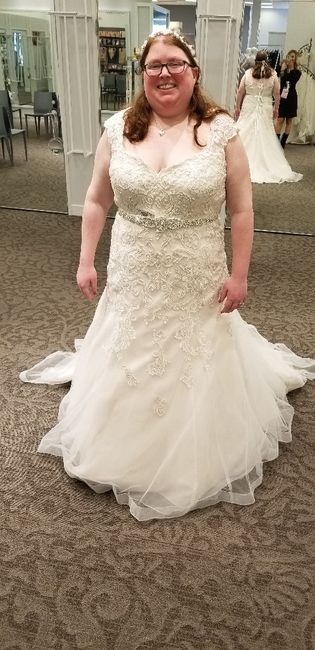 Plus Size dress tips needed 1