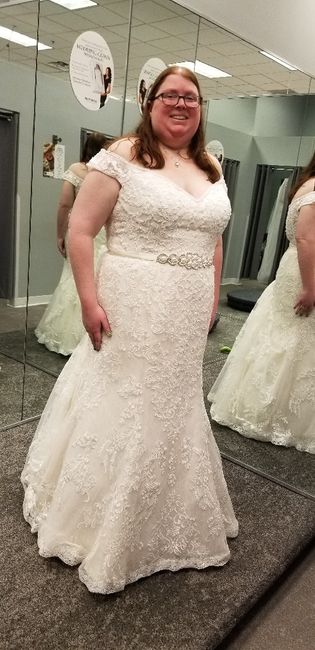 Curvy brides! Let me see your dress! 3