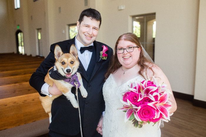 Including dogs in your wedding day 4