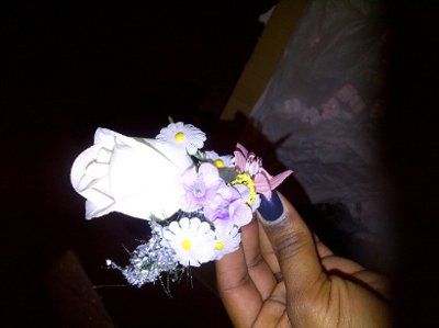 Flowers.......