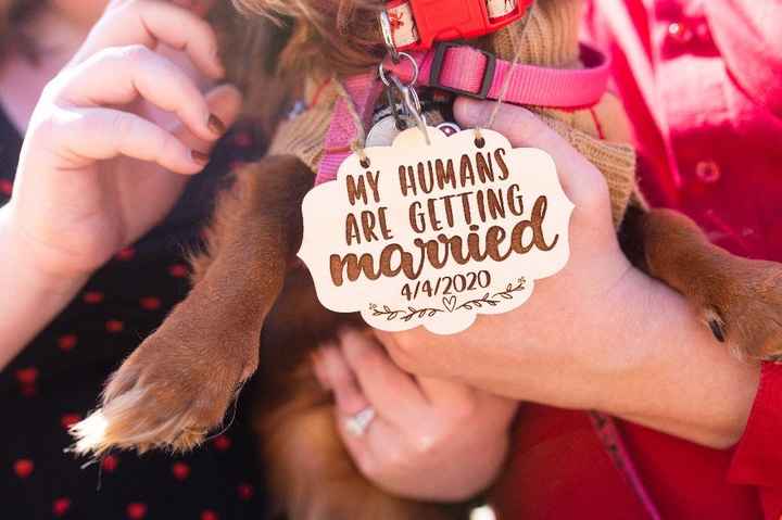 Engagment photos - 1