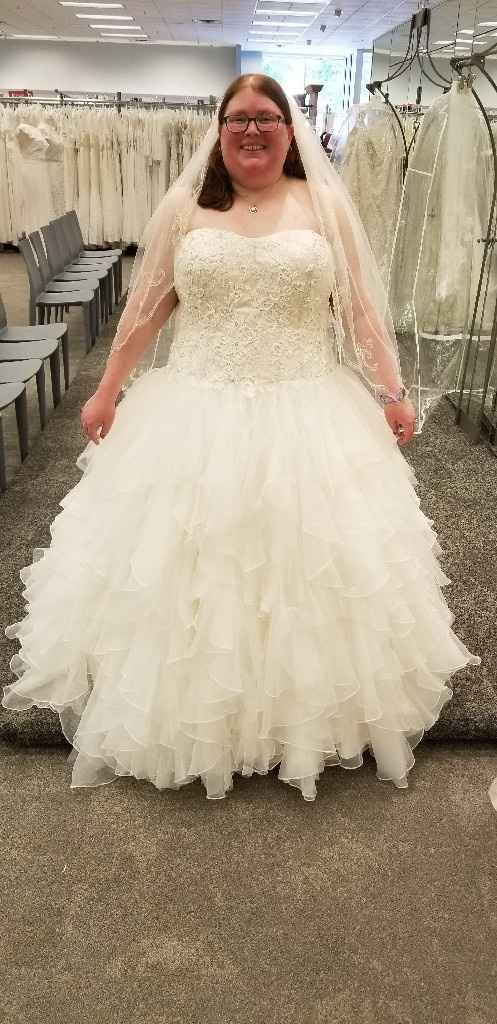 Ball Gown Slip - 1