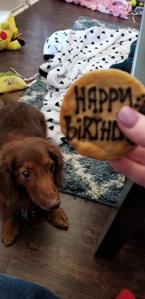Show me your fur babies! - 2