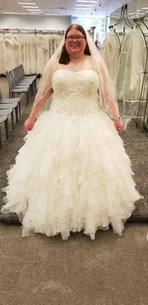 Plus-sized Brides!!! - 1