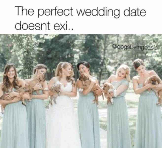 a little humor - 1