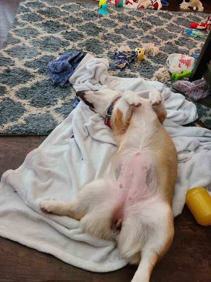 Let's see your fur babies!! - 4
