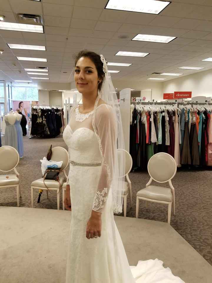 Veil or no veil? - 3