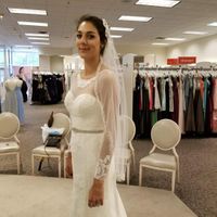 Veil or no veil? - 3